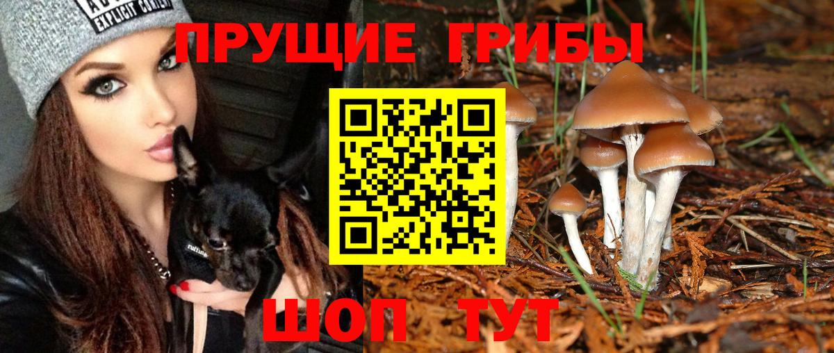 Псилоцибиновые грибы ЛСД Углич